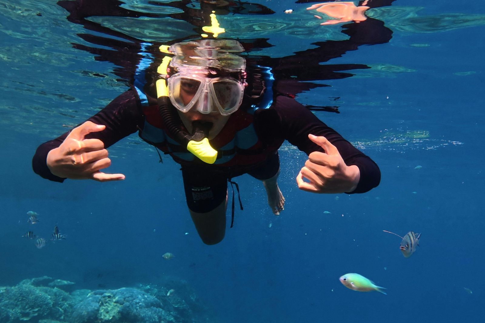 Diving