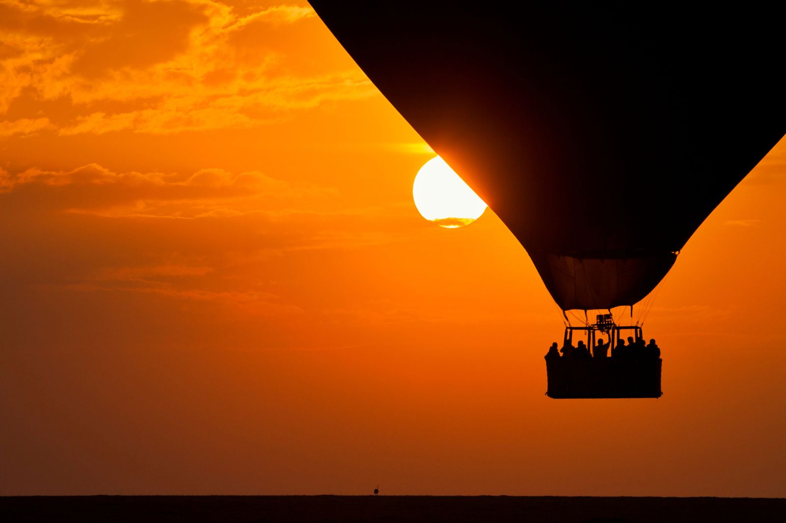 Hot Air Balloon