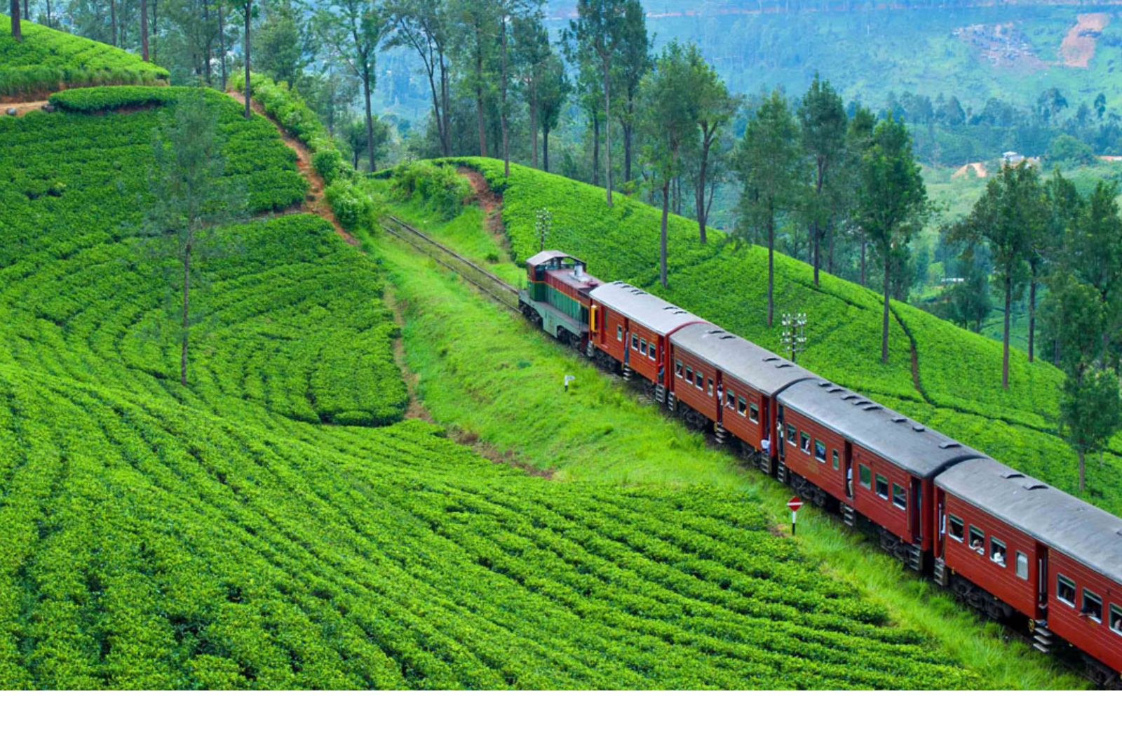 Train Rides
